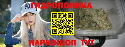 гидра Ижевск