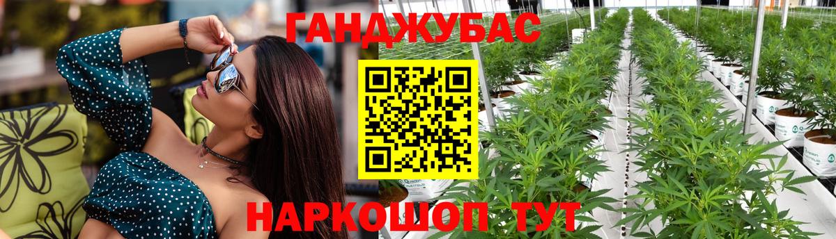 Бошки марихуана план  Вход с VPN  Кыштым  Конопля SATIVA & INDICA 